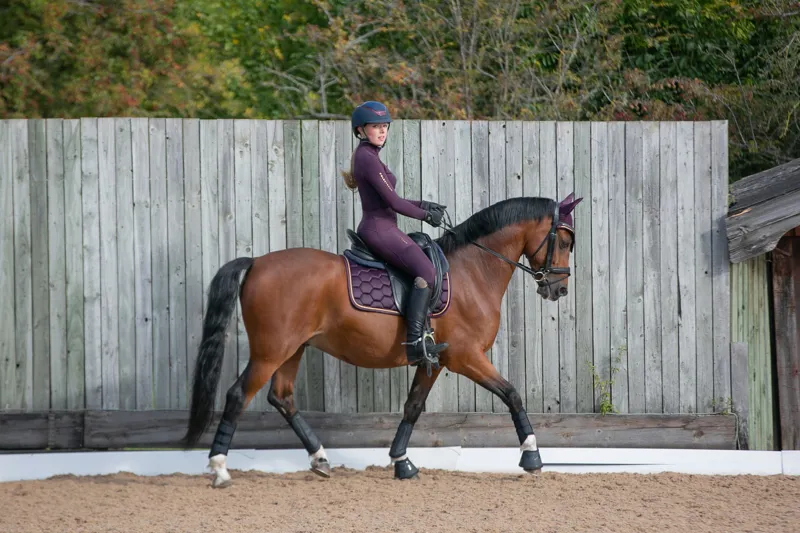 Coldstream Marygold Dressage Saddle Pad - Mulberry Purple-3